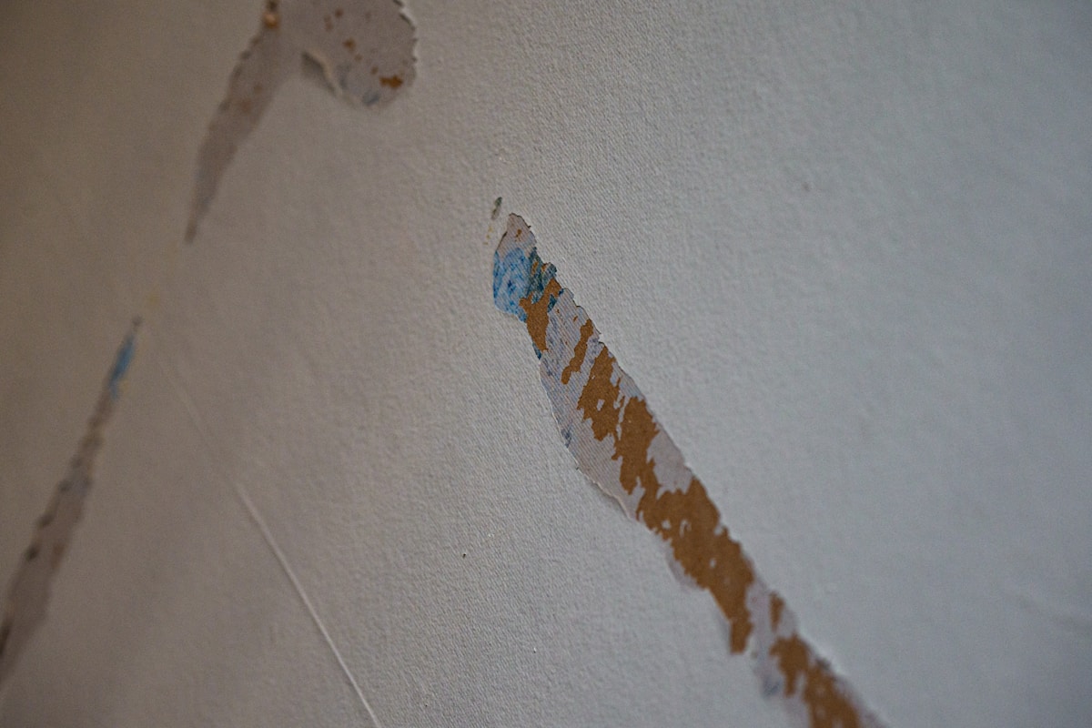 Flood Cleanup service in Poughkeepsie, NY